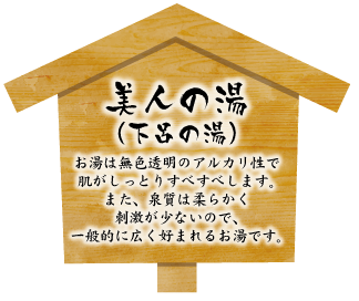 LinkIcon