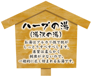 LinkIcon